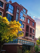 55����-׷�󿵽�,����һ������