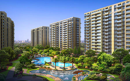 55����-׷�󿵽�,����һ������