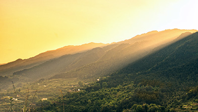 55����-׷�󿵽�,����һ������