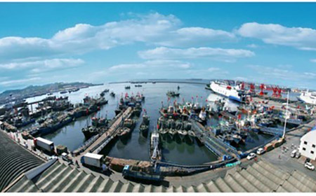 55����-׷�󿵽�,����һ������